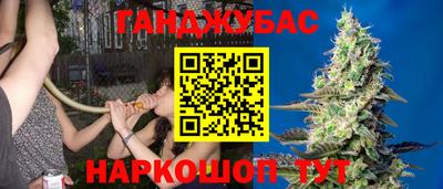 шишки Ярославль