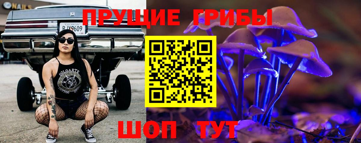 Псилоцибиновые грибы прущие грибы Белово