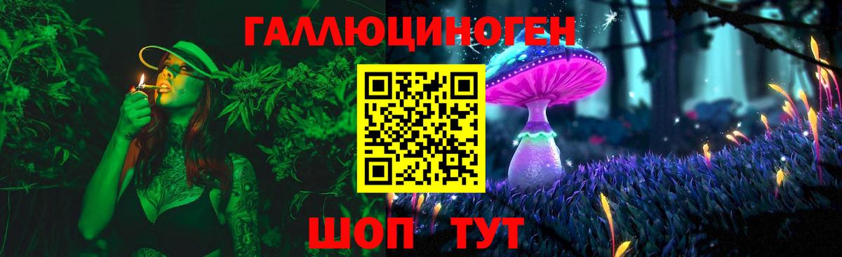 Галлюциногенные грибы прущие грибы  Вход с VPN  Белово  Галлюциногенные грибы Psilocybe 